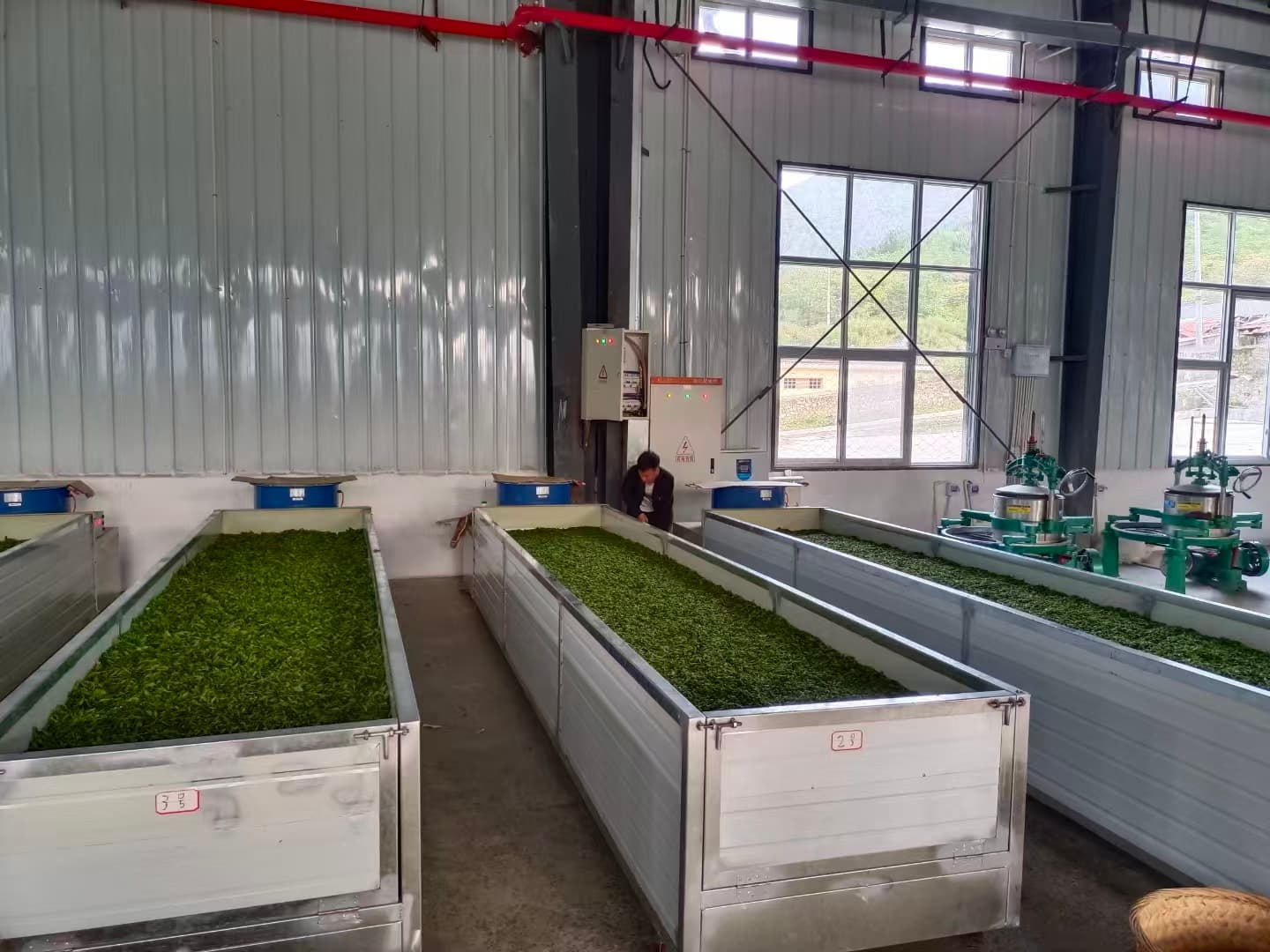 DEMING TEA newly uploaded tea craftsmanship detail