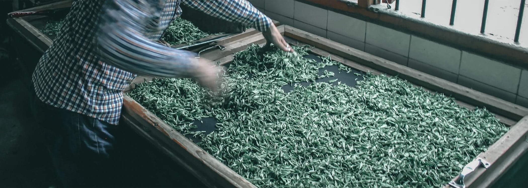 DEMING TEA tea collection presentation